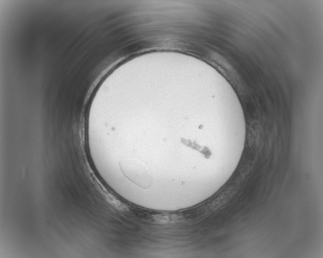 X0000069800804200606021438