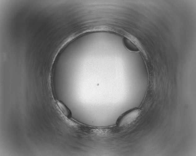 X0000069800805200606021438