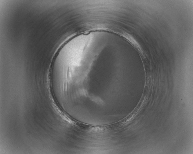 X0000069800806200606021438