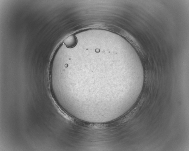 X0000069800808200606021438