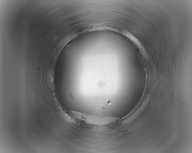 X0000069800809200606021438