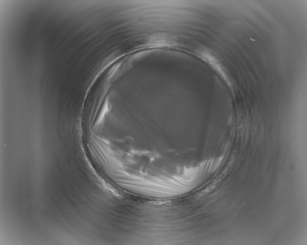 X0000069800810200606021438