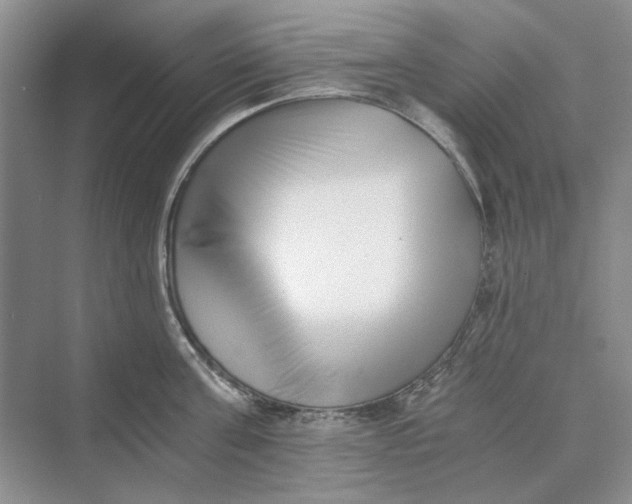 X0000069800811200606021438