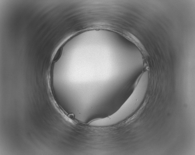 X0000069800812200606021438