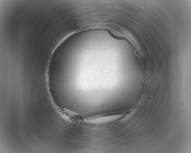 X0000069800814200606021437