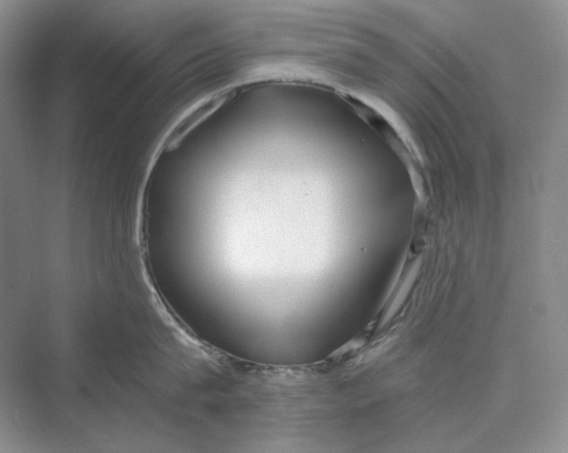 X0000069800815200606021437