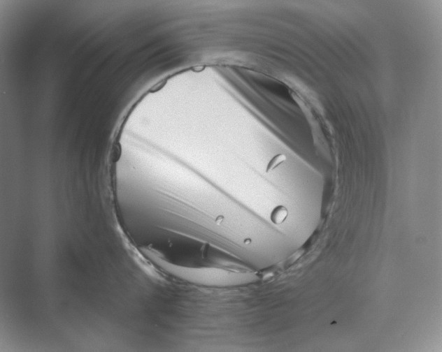 X0000069800816200606021437