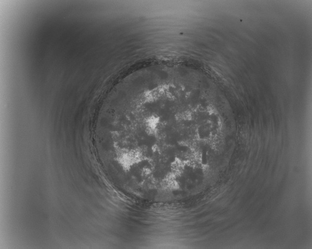 X0000069800817200606021437