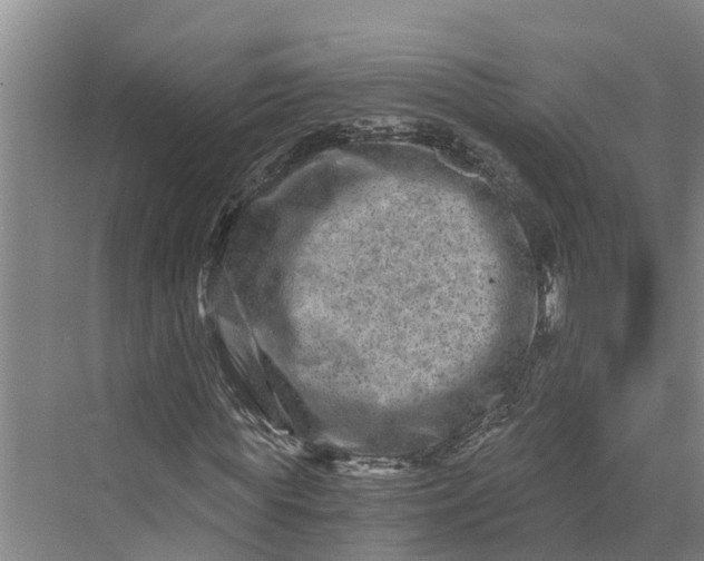 X0000069800819200606021437