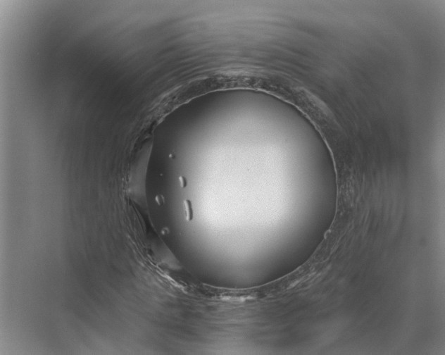 X0000069800821200606021437