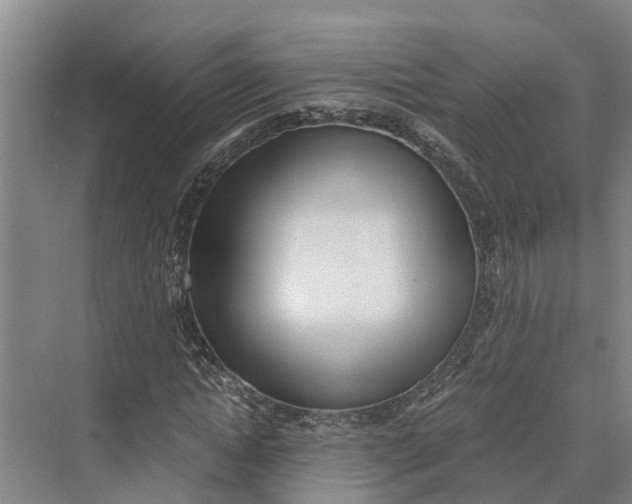 X0000069800822200606021437