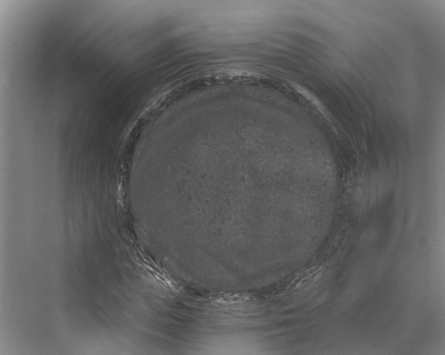 X0000069800823200606021437