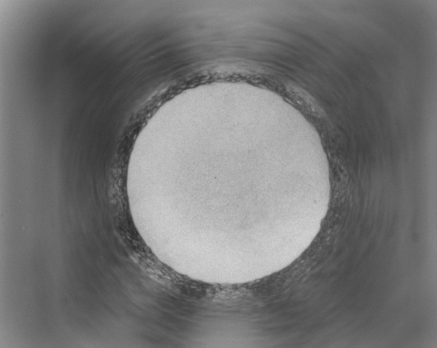 X0000069800824200606021437