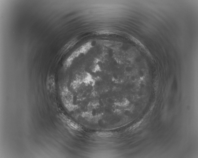 X0000069800825200606021437