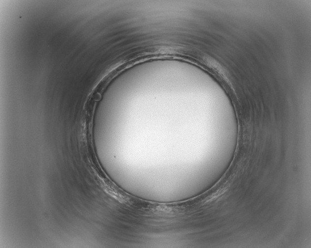 X0000069800827200606021437