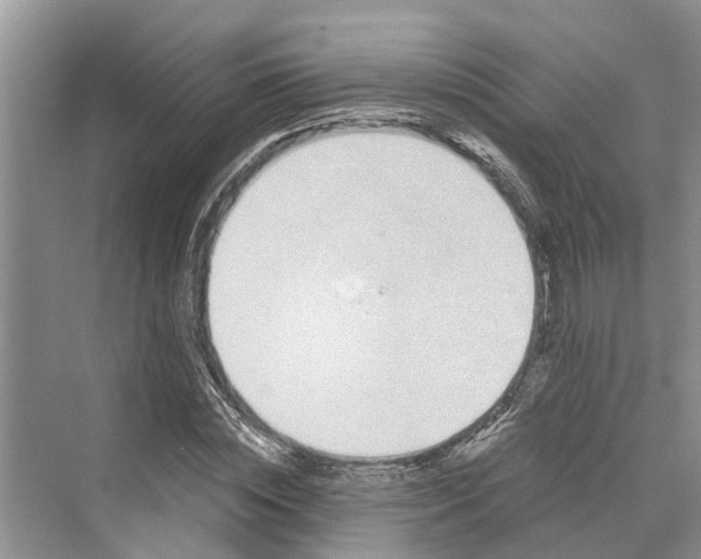 X0000069800828200606021437