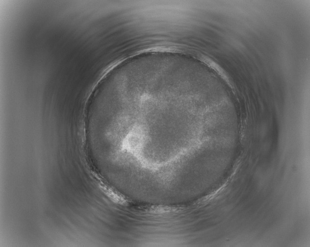 X0000069800829200606021437