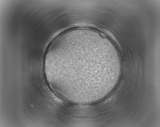 X0000069800831200606021437