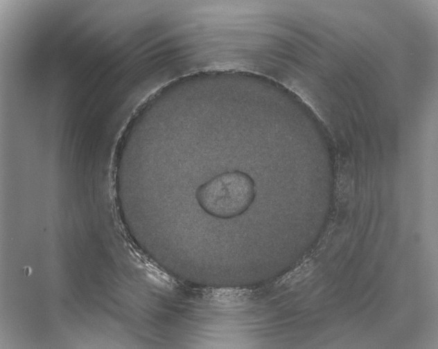 X0000069800832200606021437