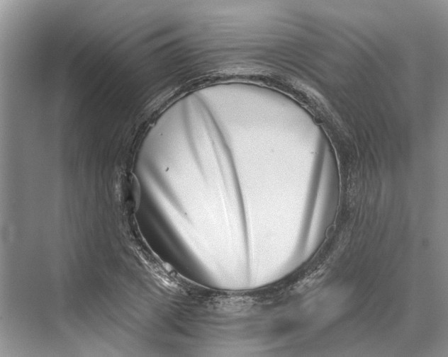 X0000069800833200606021437