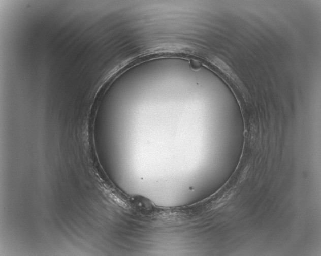 X0000069800834200606021437