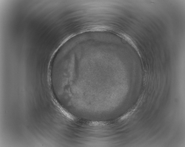 X0000069800835200606021437