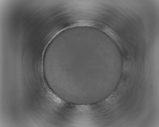 X0000069800836200606021437