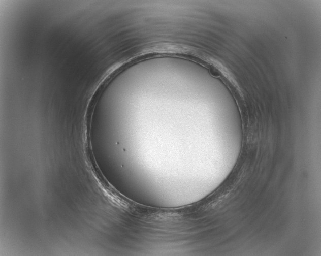 X0000069800837200606021437