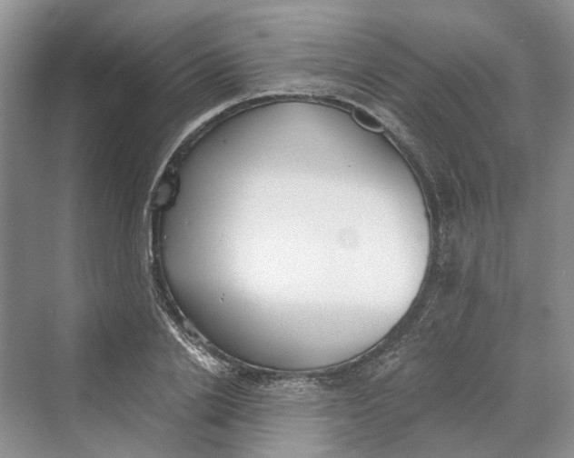 X0000069800838200606021437