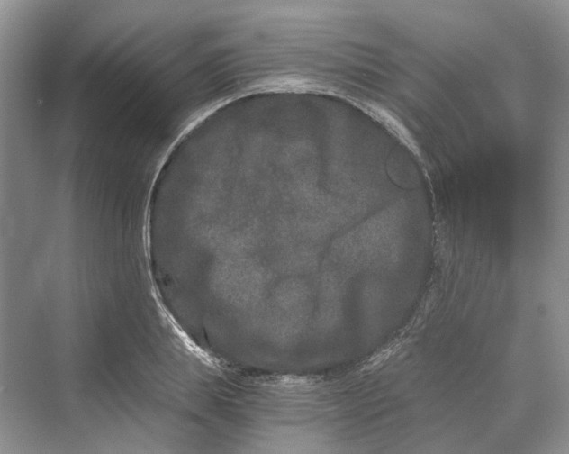 X0000069800839200606021437