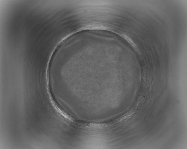 X0000069800840200606021437