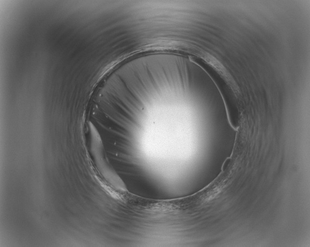 X0000069800842200606021437