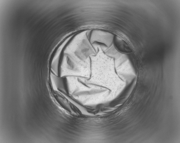 X0000069800844200606021437