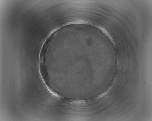 X0000069800845200606021437