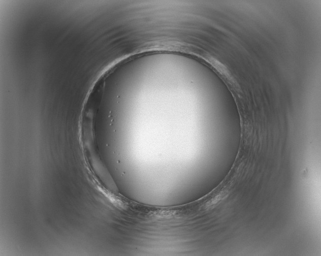 X0000069800846200606021437