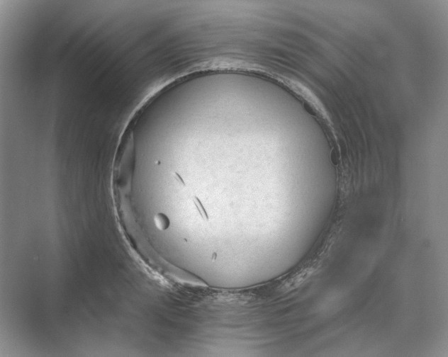 X0000069800847200606021437