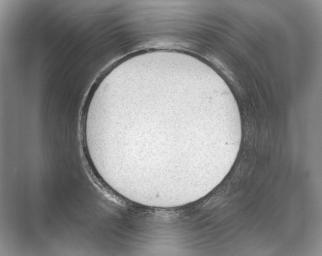 X0000069800848200606021437