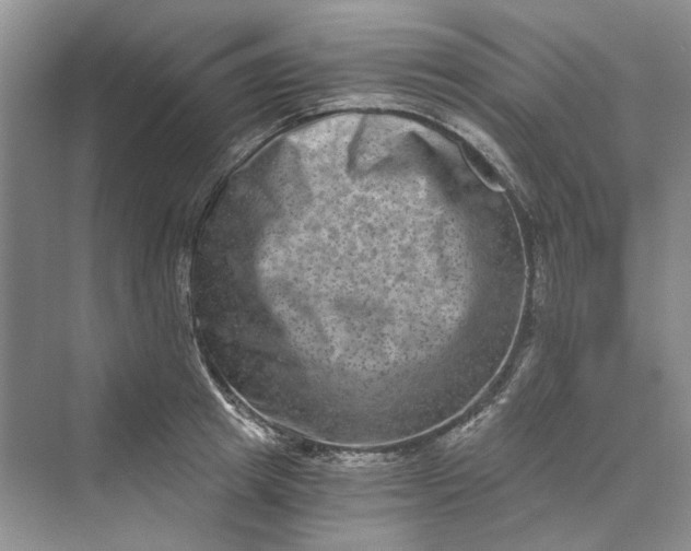 X0000069800849200606021437