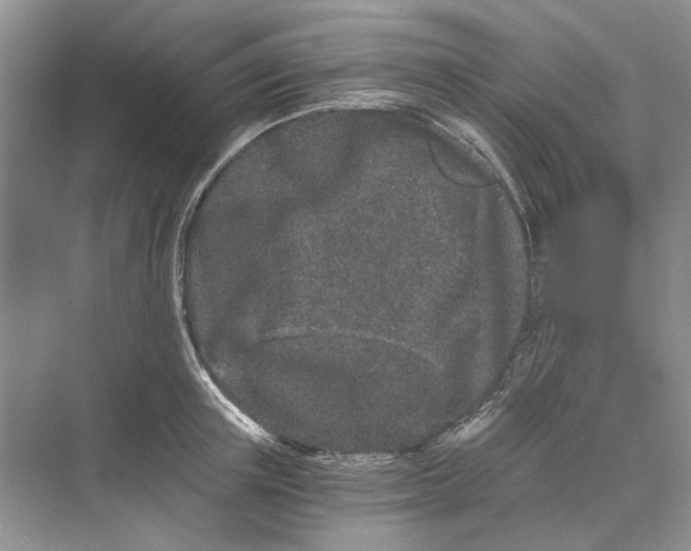 X0000069800851200606021437