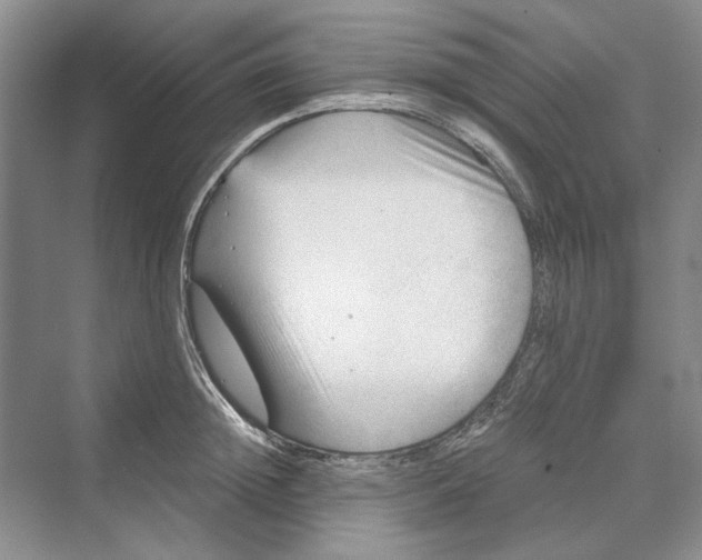 X0000069800852200606021437