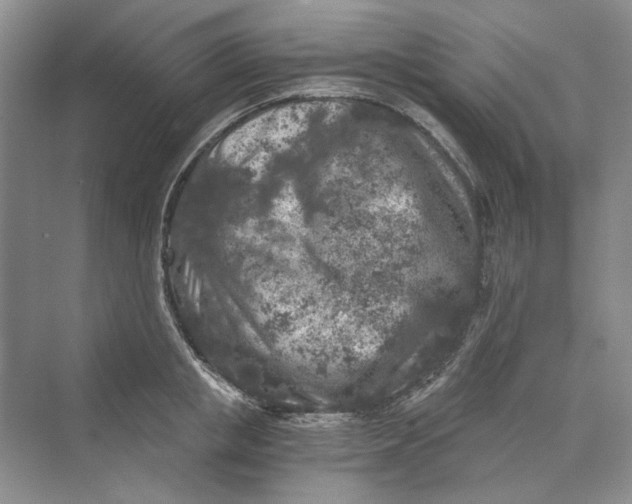 X0000069800853200606021437