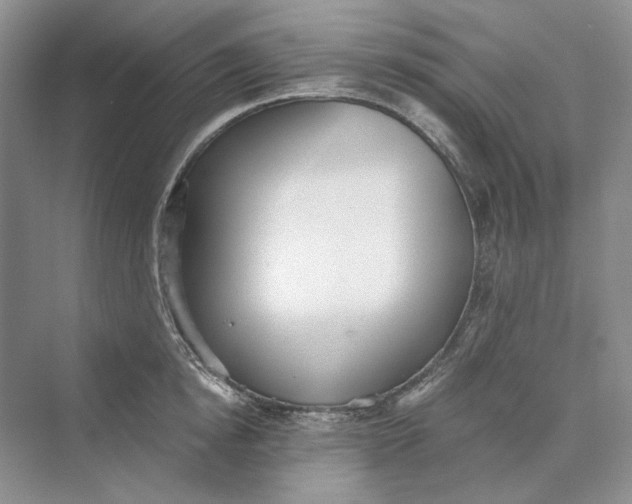 X0000069800854200606021437