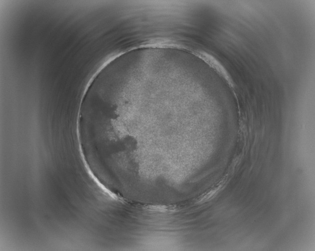 X0000069800855200606021437