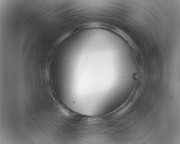 X0000069800857200606021437