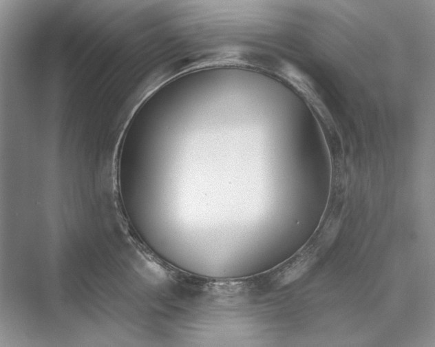 X0000069800858200606021437