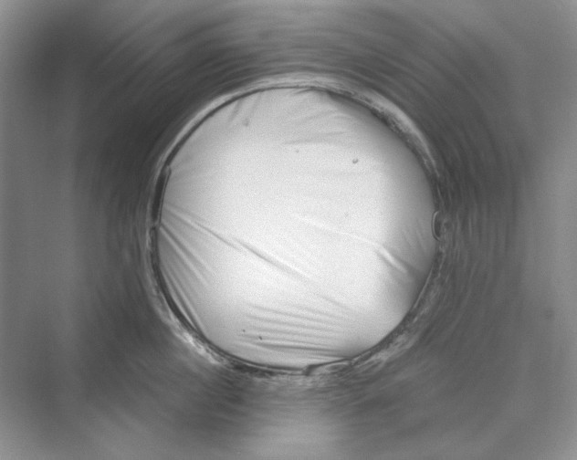 X0000069800860200606021437