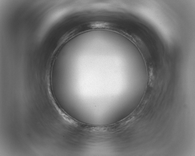 X0000069800861200606021437