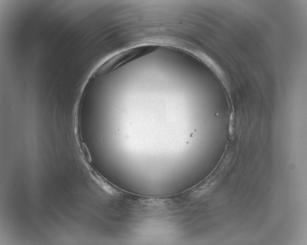 X0000069800862200606021437