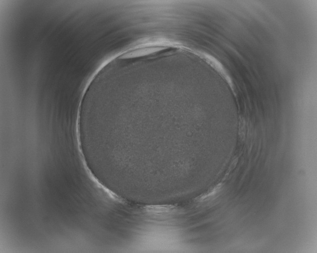 X0000069800863200606021437