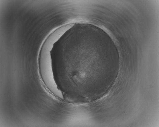 X0000069800864200606021437